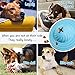Wisedom Dog Treat Ball Interactive Toys Food Dispenser IQ Ball Brain Games for Pet Dogs Puppies and Cat Chasing Chewing Playing