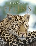 Les Grands Felins (Spirit of) (French Edition) by 