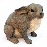 Michael Carr 507012AGY Mama Rabbit, Gray