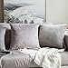 MIULEE Pack of 2, Velvet Soft Soild Decorative Square Throw Pillow Covers Set Cushion Case for Sofa Bedroom Car 20 x 20 Inch 50 x 50 cm