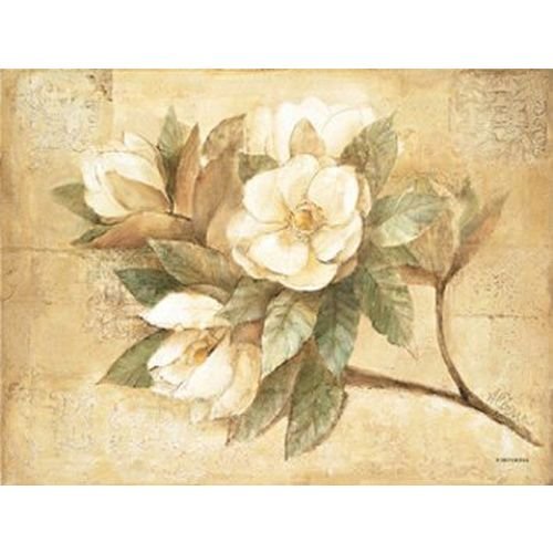 Pimpernel Sugar Magnolia Placemats, Set of 4, 15.7" x 11.7" Buy