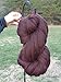 Shep's Dark Chocolate Brown Merino Wool Top Roving Fiber Spinning, Felting Crafts USA (1lb)