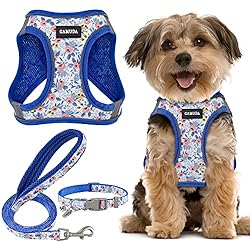 GAMUDA Small Pet Harness Collar and Leash Set, Step