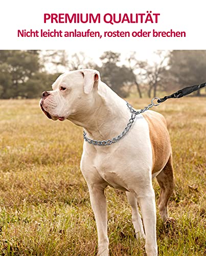 Dog Chain Collars Strong Dog Chain No Pull Dog Metal Slip Collar Anti Chew Training Collar Stainless Collar for Small Medium Large Dogs