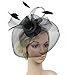 Urban CoCo Women's Elegant Flower Feather and Veil Fascinator Cocktail Party Hair Clip Hat (Black)