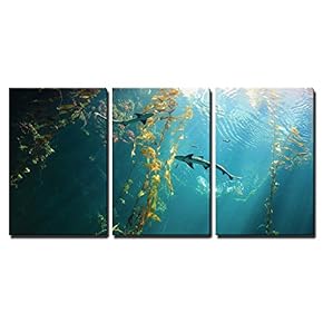 3 Piece Canvas Wall Art - Small Shark in The Ocean with Amazing Light Ray - Modern Home Art Stretched and Framed Ready to Hang - 16"x24"x3 Panels