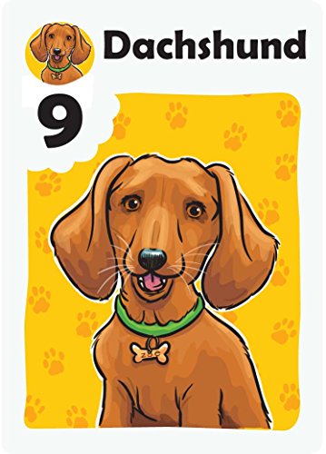 Grandpa Beck's Nuts About Mutts Card Game, from the creators of Cover Your Assets