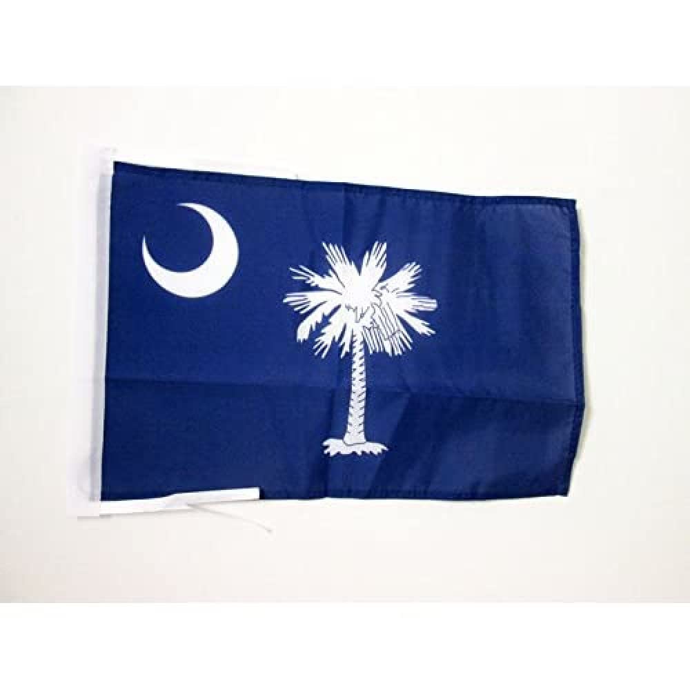 AZ FLAG - South Carolina Flag - 18'' x 12'' - 100% Polyester US state of Caroline du Sud Small Banner with Two Cords - Fade Resistant - Vivid Colors - 18x12 in - 45x30 Cm — image 1