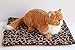 Downtown Pet Supply Thermal Cat Bed - Insulated Cat Mat with Aluminum Film & Sherpa Backing - Washer Safe Faux Fur Cover - Self-Warming Nap - Regular - Animal Print Beige - 22 x 19in