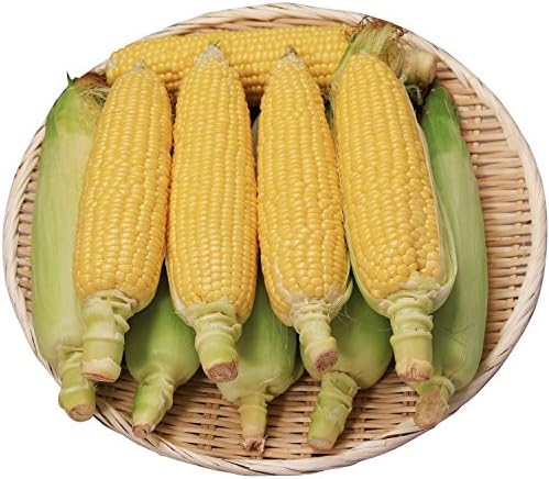 Amazon 北海道 トウキビ とうきび 芽室産 ゴールドラッシュ 10本 セット ギフトタウン オホーツク とうもろこし 通販