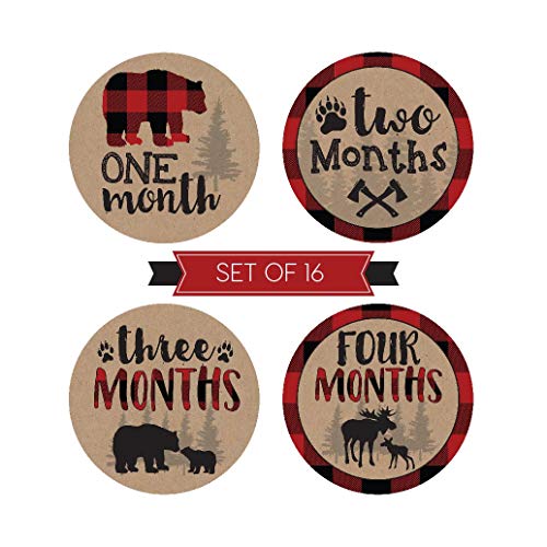 16 Woodland Bear Baby Milestone Stickers, Rustic Winter 12 Monthly Photo Picture Props For Boy or Girl Infant Onesie, 1st Year Months Belly Decal, Scrapbook Memory Registry Gift Lumberjack Shower Idea