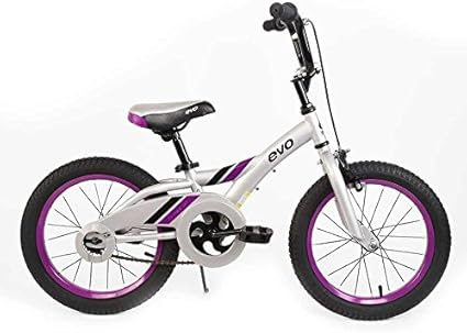 evo kids bike