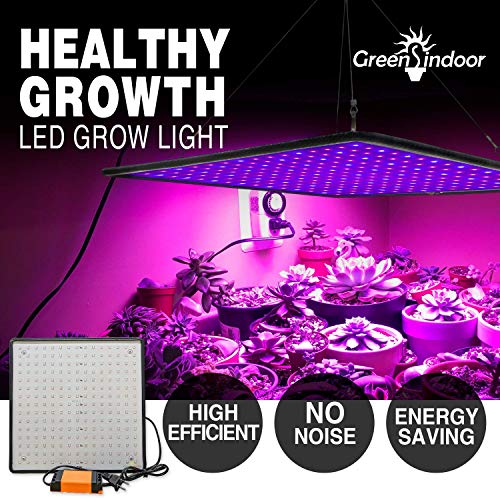 GREENSINDOOR 300W LED Pflanzenlampe, LED Pflanzenlampe Vollspektrum LED