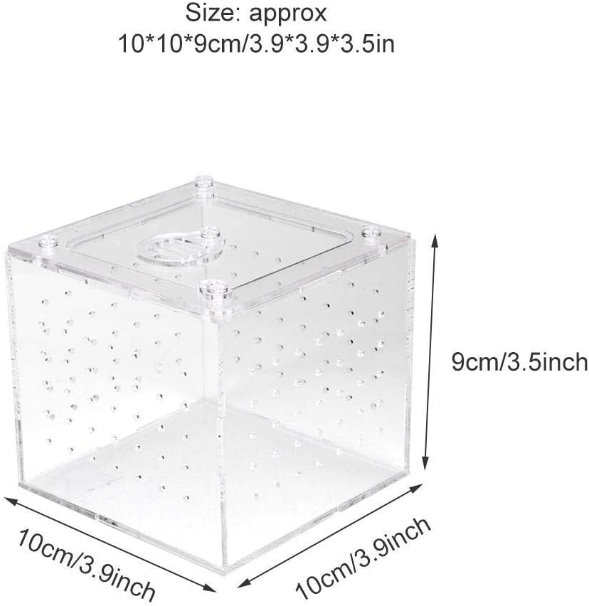 Transparent Acrylic Reptile Breeding Box, Live Food Storage Container, Insect Viewing Case for Spiders Crickets, Snails, 10x10x9cm - Image 4