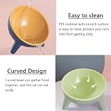 Zayejod Cat Bowls Tilted Raised Two Feeding Bowls Stand 15° Incline view 5