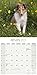 Shetland Sheepdog Calendar - Breed Specific Shetland Sheepdog Calendar - 2016 Wall calendars - Dog Calendars - Monthly Wall Calendar by Avonside