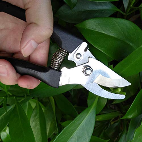 xderlin Gardening Tools Set,Portable 6 Pieces Stainless Steel Garden Tool Sets,Gardening Gifts for Women,Men (Black-6 PCS) - Thumbnail 2