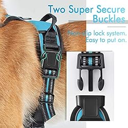 rabbitgoo Dog Harness, No-Pull Pet Harness with 2