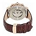 Lucien Piccard Acropolis Complete Calendar Automatic Men's Watch LP-40021A-RG-02S-BRW