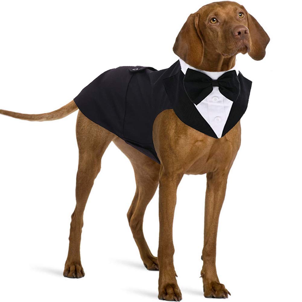 IDOMIK Dog Tuxedo for Small Medium Large Doggie, Detachable Dog Formal Wedding Suit with Tuxedo Vest & Bow Ties Collar & Bandana Scarf Set, Wedding Attire Shirt for Birthday Party Costume
