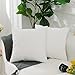 Home Brilliant Ultra Soft Velvet Solid Decorative Throw Pillowcase Cover Euro Sham for Baby Sofa Living Room, 60 x 60cm(24 inches), White