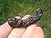 Brass Phallic Phallus Lion Scorpion Amulet Talisman Paladkik Good Luck Charm Pendant Thailand Buddhist A14