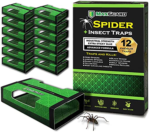 MaxGuard Spider + Insect Traps (12 pcs Box Trap) | Non-Toxic Extra