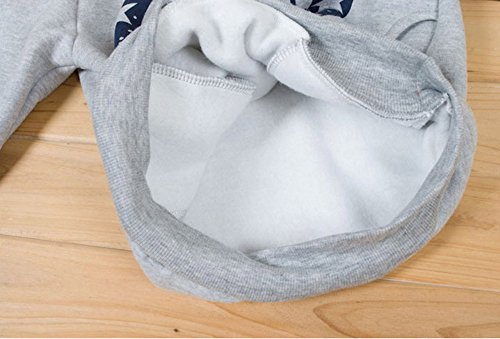 DIGOOD Baby Boys Printing Hoodie Tops,for 2-7 years old,Warm Thick Long Sleeve Blouse Clothes (Gray, 3-4 Years old)