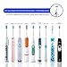 OhmniPax Premium Replacement Toothbrush Heads for Philips Sonicare ProResults fit Essence+, Plaque Control, Gum Health, DiamondClean, FlexCare, HealthyWhite and EasyClean (5-Pack)