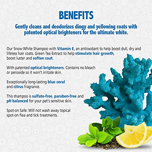 Veterinary Formula Solutions Snow White Shampoo for Dogs and Cats, 128