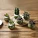 T4U Small Green Ceramic Succulent Planter Pots with Drainage Hole Set of 6, Spring Glaze Porcelain Handicraft Plant Holder as Gift for Mom Sister Daughter for Home Office Garden Desktop Decoration