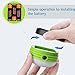 Camping Tent Lantern, Portable LED Hand Lamp Night Light Emergency Torch Mini Flashlight for Hiking Jogging Fishing Outdoor Indoor(2 Pack)