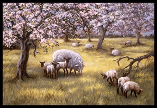 Caroline's Treasures BDBA0133JMAT Sheep by Daphne Baxter Doormat 24x36 Front Door Mat Indoor Outdoor Rugs for Entryway, Non Slip Washable Low Pile, 24H X 36W