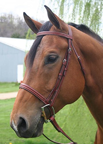 Paris Tack Triple Stitched Heavy Duty Horse Bridle with Laced Reins for Warmblood or Oversize Horse - Thumbnail 6