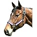 Intrepid International Leather Crown Diamond with Padded Nose Halter