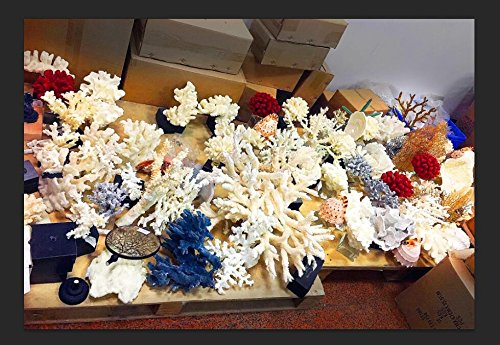 image for COMLZD Cauliflower Coral Statue Decorative Accent Resin Sculpture Disp