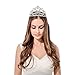 DcZeRong Tiara Crown Queen Crowns Prom Tiara Wedding Tiaras Prom Crowns Women Tiaras Bridal Tiaras