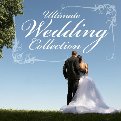 Lohengrin Wedding March by Richard Wagner Werner Simons