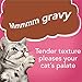 Purina Friskies Gravy Wet Cat Food Variety Pack, Gravy Sensations Surfin' and Turfin' Pouches