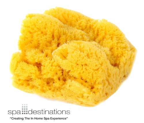 Natural Silk Cosmetic Facial Sponge (3 Pack of 1.5 - 2") by Spa Destinations "Creating The In Home Spa Experience"
