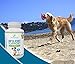 PetSupercare Hip and Joint Supplement with Chondroitin, MSM and Vitamins for Dog’s Arthritis Pain Relief, 120 Chewable Beef Flavor Tablets