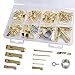 Accessbuy Picture Hanging Kit,Picture Hangers,Picture Frame Hooks,Medium Hanging Assortment Kit,with Hanging Wire,Hooks,Nails,Sawtooth and Hardware for Frames 200pcs (100lbs 50lbs 30lbs 20lbs 10lbs)