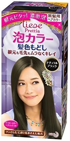 Kao | Liese Prettia AWA Hair Color KAMI IRO MODOSHI | Natural Black by Prettia