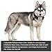 [Upgraded 2017 Version] Bark Collar Rechargeable 7 Sensitivity Levels vibration No Harm Shock Anti-Barking Dog Collar Smart Controller Safe Stop for Small Medium or Large Dogs