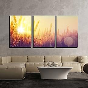 Golden Wheat Field and Sunny Day x3 Panels