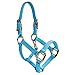 Intrepid International Halter Mini Light Blue Nylon DBL Buckle Crown, LT Blue, Mini