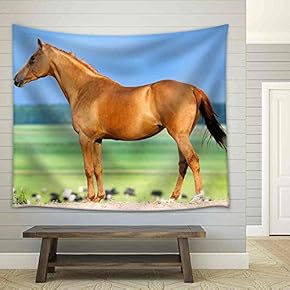 Chestnut Budenny Horse Looking on The Cows at Field. - Fabric Wall Tapestry Home Decor - 51x60 inches