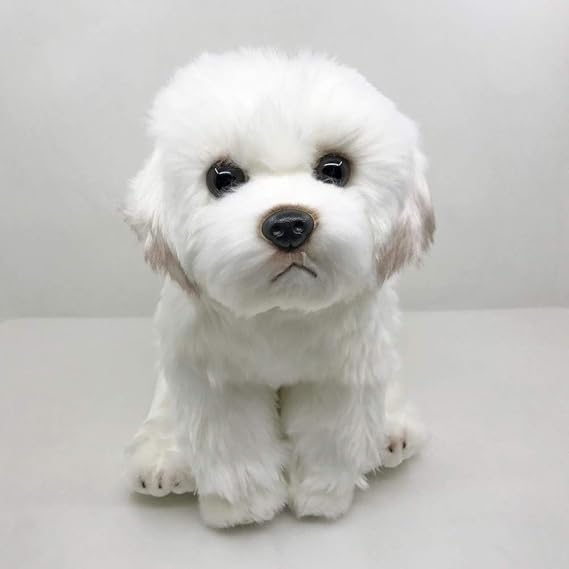 xinya Soft Toys Lifelike Maltese dog Maltese puppy plush toy Amazon.co