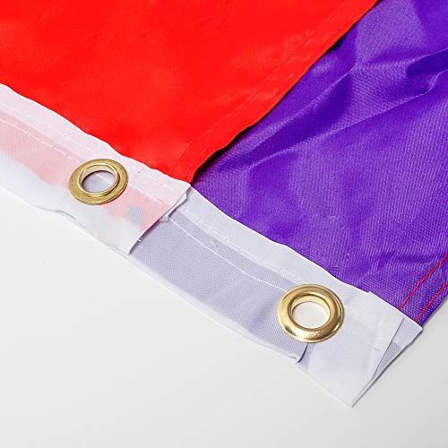 DomeStar Rainbow Flag, 3 x 5 Feet Gay Pride Flag Rainbow Gay Flag Gay Pride Banner Flags Rainbow Pride Flag with Pole