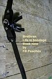 Brethren, life in bondage. Book nine. (Brethren life in bondage 9)